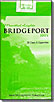 BRIDGEPORT MENTHOL LIGHT 100 