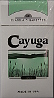 Cayuga Menthol Ultra Light 100 Box 