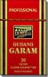 Surya Professional Gudang Garam 
