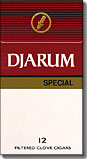 DJARUM SPECIAL BOX FILTERED CLOVE CIGARS 